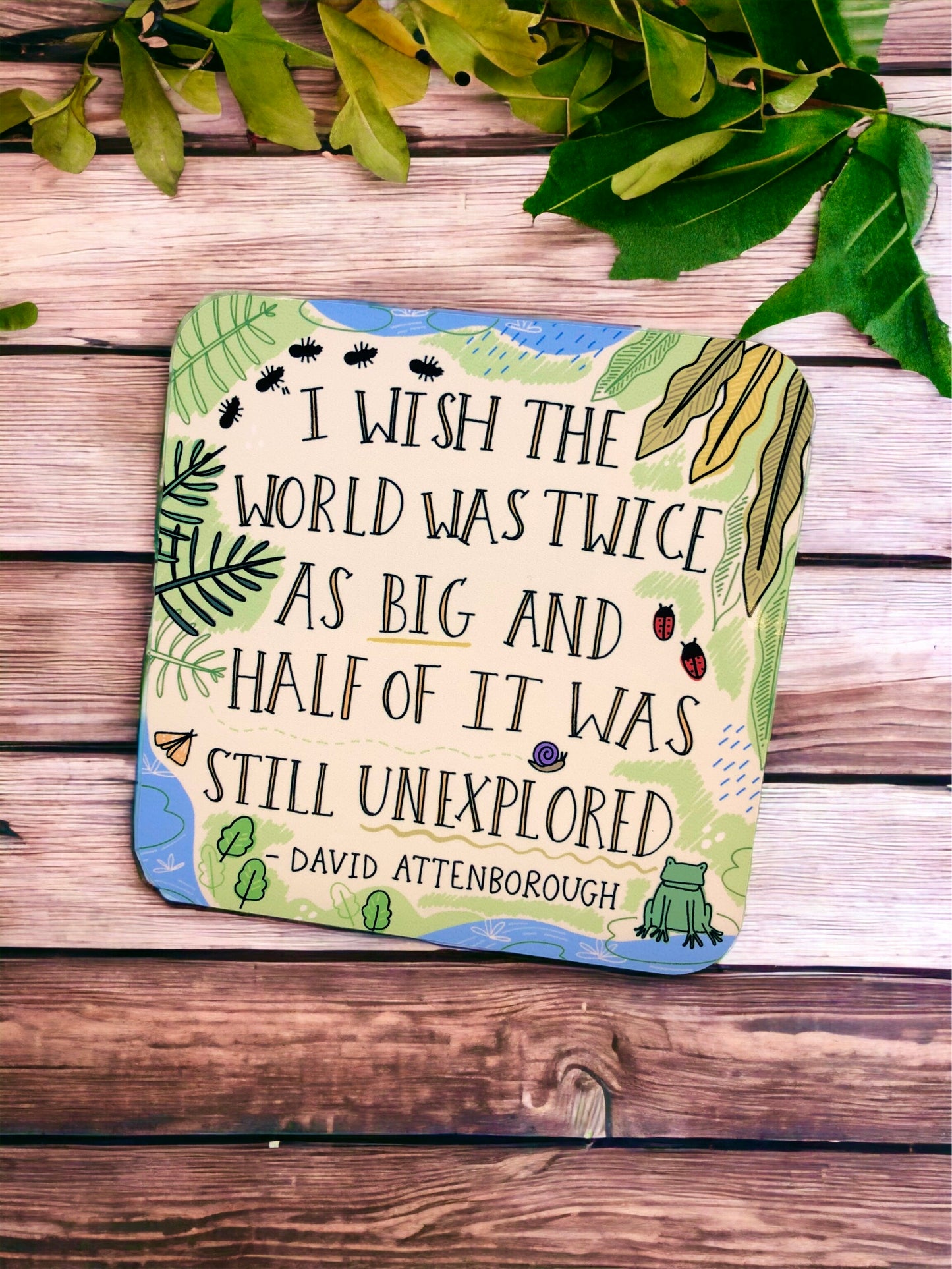 ATTENBOROUGH COASTER