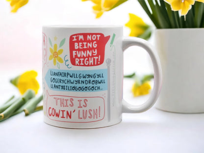 WELSH SLANG MUG